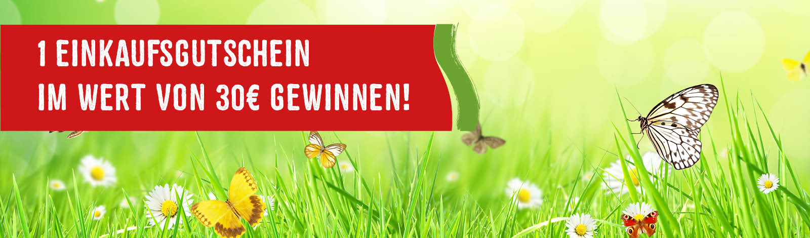MetaSliderGewinnspiel